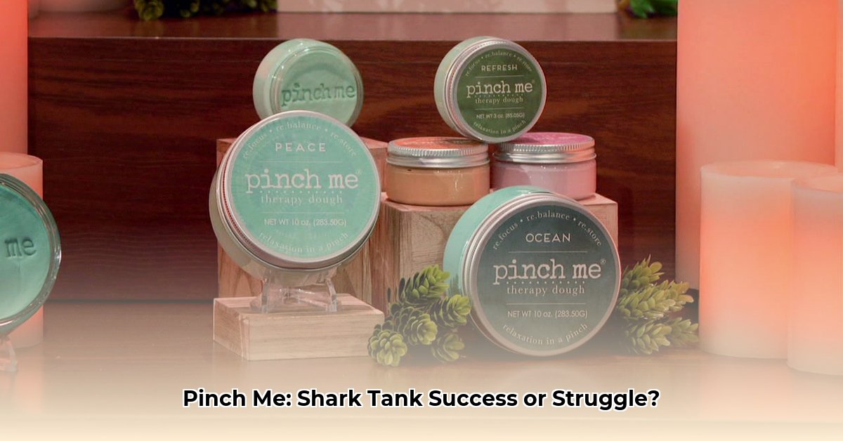 pinch-me-shark-tank-net-worth